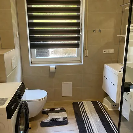 Holunder Nah Am Waldsee 2 Rieden (Mayen-Koblenz)