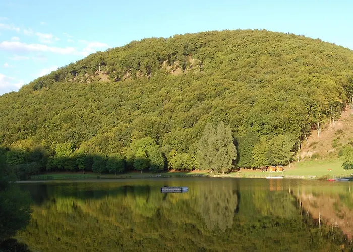 Holunder Nah Am Waldsee 2 *