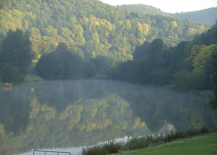 Holunder Nah Am Waldsee 2 * Rieden (Mayen-Koblenz)