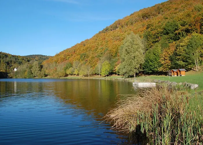 Holunder Nah Am Waldsee 2