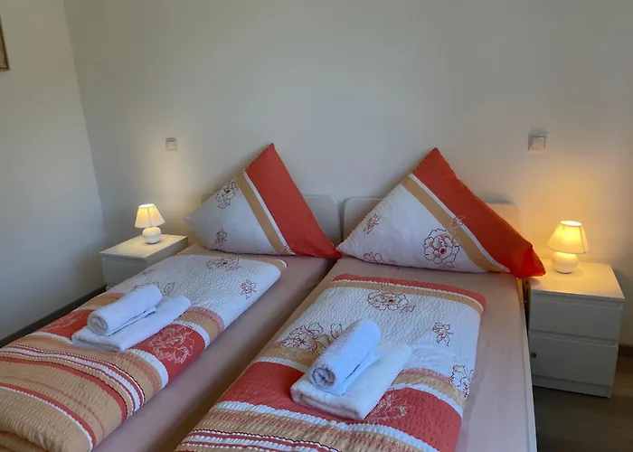 Holunder Nah Am Waldsee 2