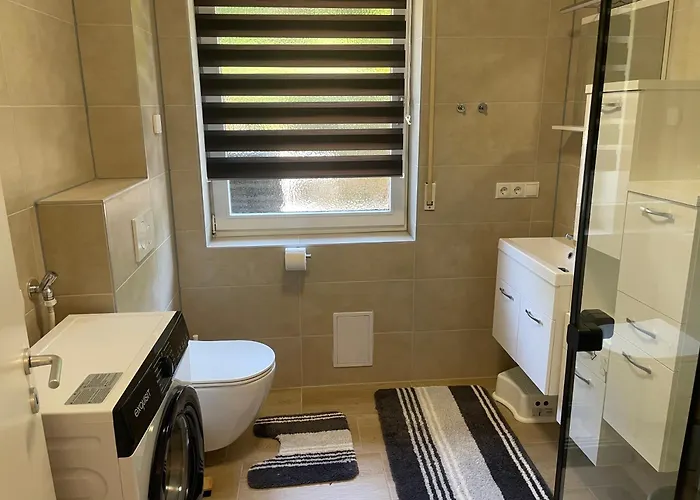 Holunder Nah Am Waldsee 2 Rieden (Mayen-Koblenz)